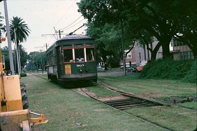File:20080622 St. Charles St. Trolley behind tree with Mardi Gras beads.JPG  - Wikipedia
